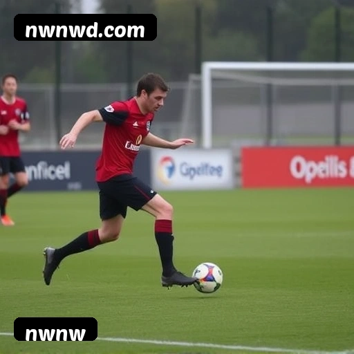 Níveis do programa VIP da nwnw